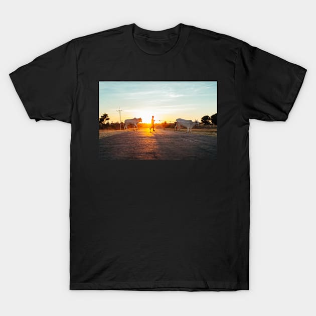 Silhouette of Boy Leading Cattle Across Road at Sunset in Burmese Countryside T-Shirt by visualspectrum